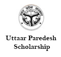 UP Scholarship